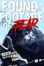 Found Footage of Fear 2020 on netflix