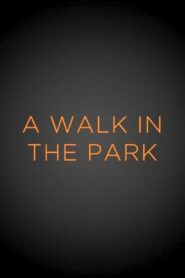 A Walk in the Park 1999 on netflix