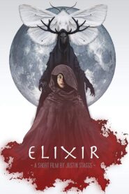 Elixir 2016 on netflix