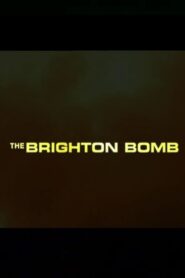 The Brighton Bomb 2004 on netflix