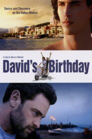 David’s Birthday 2009 on netflix