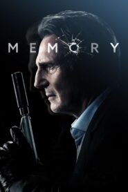 Memory 2022 on netflix