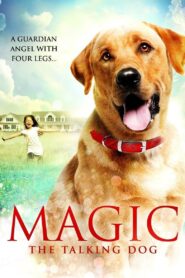 Magic 2010 on netflix