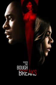 When the Bough Breaks 2016 on netflix