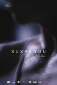 Suspendu 2015 on netflix