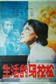 生活的马拉松 1987 on netflix