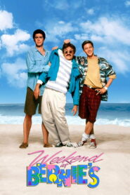 Weekend at Bernie’s 1989 on netflix