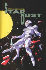 Star Dust 1992 on netflix