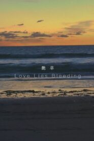 Love Lies Bleeding 2019 on netflix