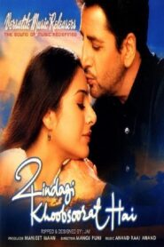 Zindagi Khoobsoorat Hai 2002 on netflix