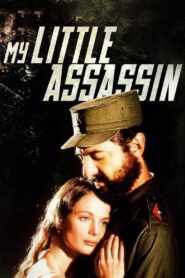 My Little Assassin 1999 on netflix