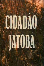 Cidadão Jatobá 1987 on netflix