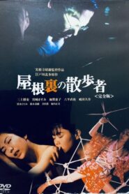 A Watcher in the Attic 1994 on netflix