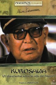 Kurosawa 2000 on netflix