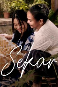 Sekar 2018 on netflix