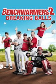 Benchwarmers 2: Breaking Balls 2019 on netflix