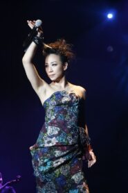 2012 林忆莲香港演唱会 2012 on netflix