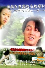 What You Cherish Can Never Be Forgotten 1998 on netflix