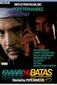 Kaaway ng Batas 1990 on netflix