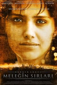 Broken Angel 2008 on netflix