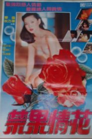 Searching for Love 1986 on netflix