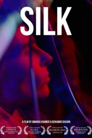 Silk 2013 on netflix