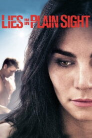 Lies in Plain Sight 2010 on netflix