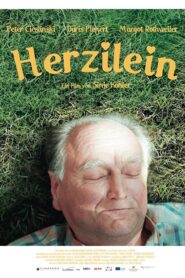 Heartstrings 2017 on netflix