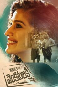 Where Is The Venkatalakshmi 2019 on netflix