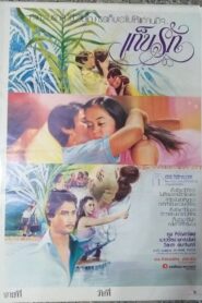 เก็บรัก 1981 on netflix
