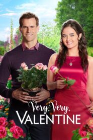 Very, Very, Valentine 2018 on netflix
