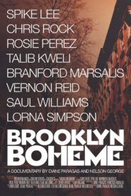 Brooklyn Boheme 2012 on netflix