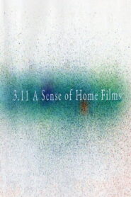 3.11 A Sense of Home Films 2011 on netflix