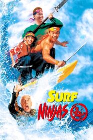 Surf Ninjas 1993 on netflix