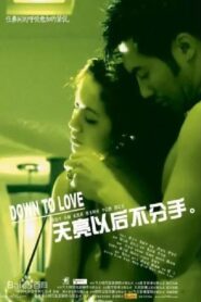 Down to Love 2006 on netflix