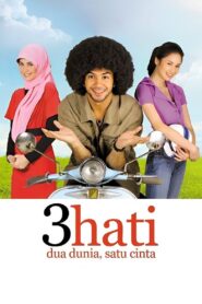 3 Hati Dua Dunia Satu Cinta 2010 on netflix