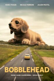 Bobblehead 2024 on netflix
