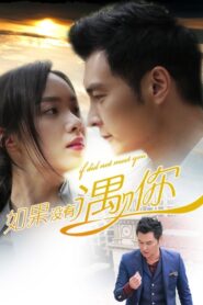 如果没有遇见你 2016 on netflix