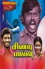 Red Jasmine 1981 on netflix