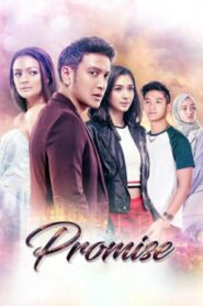Promise 2017 on netflix