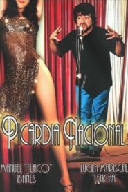 Picardía nacional 1989 on netflix