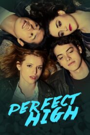 Perfect High 2015 on netflix