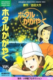 Hotaru Kagayaku 1991 on netflix
