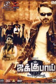 Jaggubhai 2010 on netflix