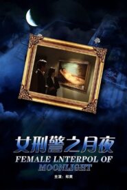 女刑警之月夜 2012 on netflix