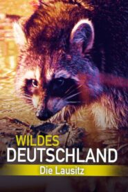 Wild Germany: Exploring Lusatia 2013 on netflix