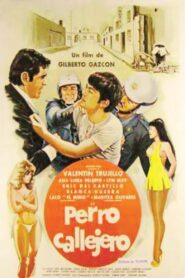 Perro callejero 1980 on netflix