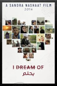 I Dream of 2014 on netflix