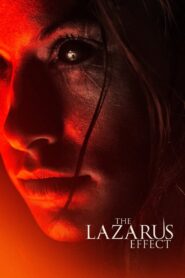 The Lazarus Effect 2015 on netflix
