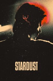 Stardust 2020 on netflix